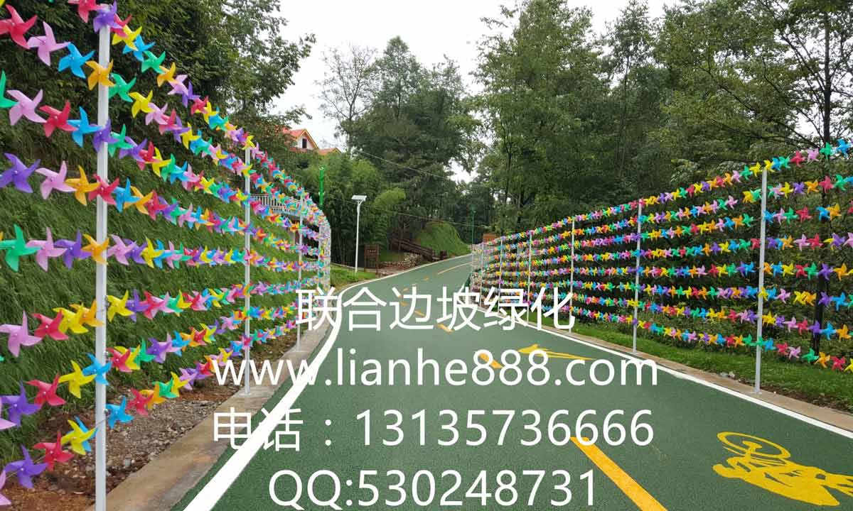 貴州六盤水大河堡國學(xué)館風(fēng)景旅游區(qū)邊坡復(fù)綠