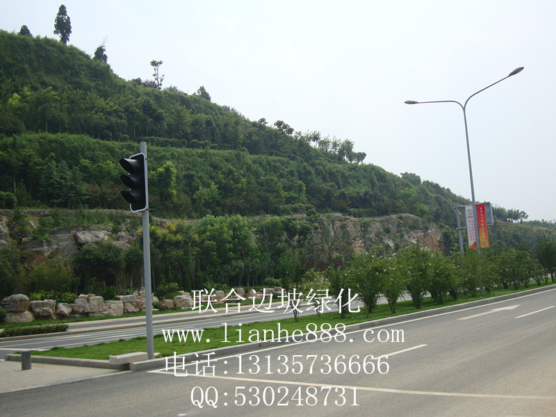 1716366863118505.jpg 20180110170825989.jpg