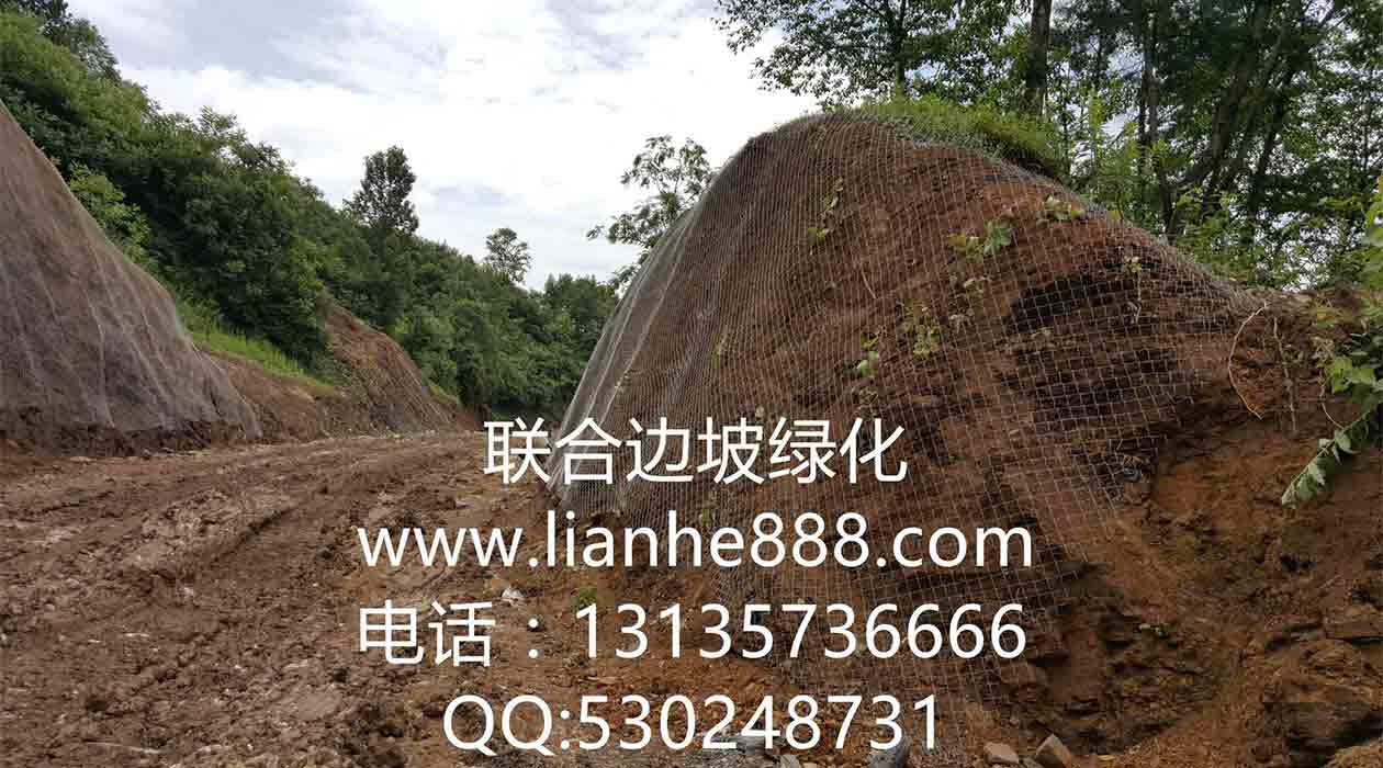 1719816735768375.jpg 三維網.jpg